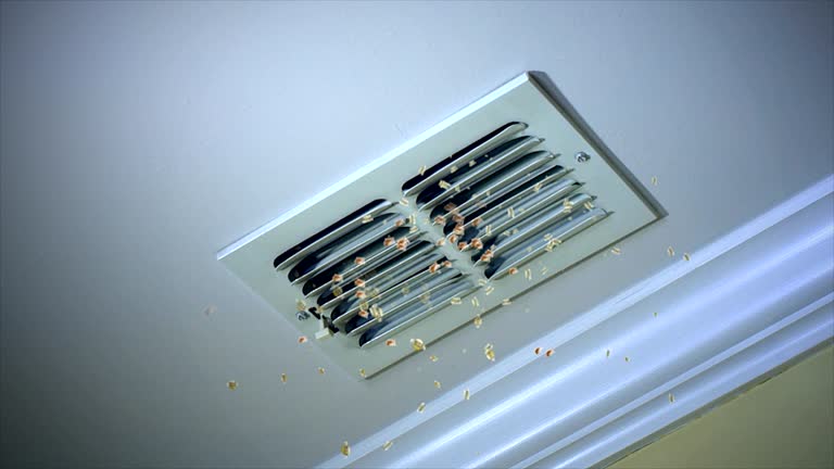 Best Air Vent Cleaning Services  in Pojoaque, NM