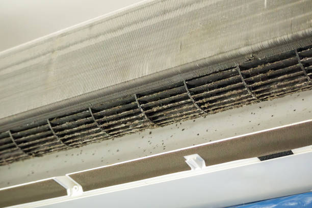 Best Air Duct Cleaning Company Near Me  in Pojoaque, NM